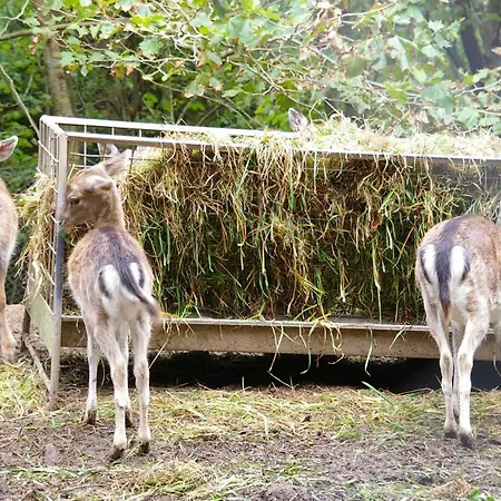 Holiday home Moinho Mo Da Praia da Graciosa