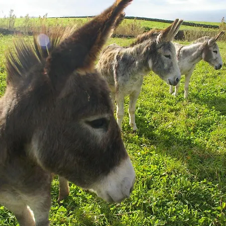 Moinho Mó Da Сasa de vacaciones *