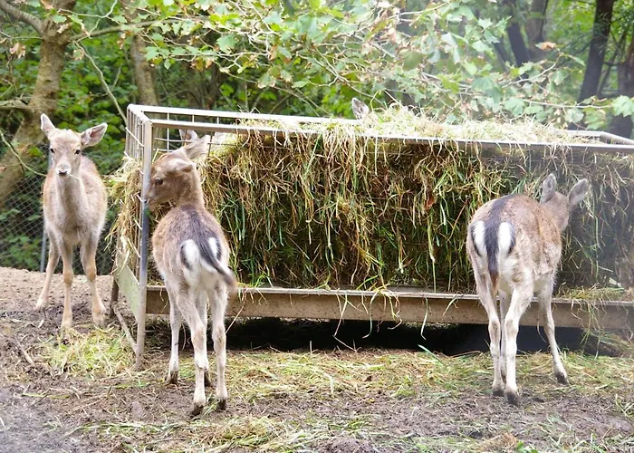 Holiday home Moinho Mo Da Praia da Graciosa